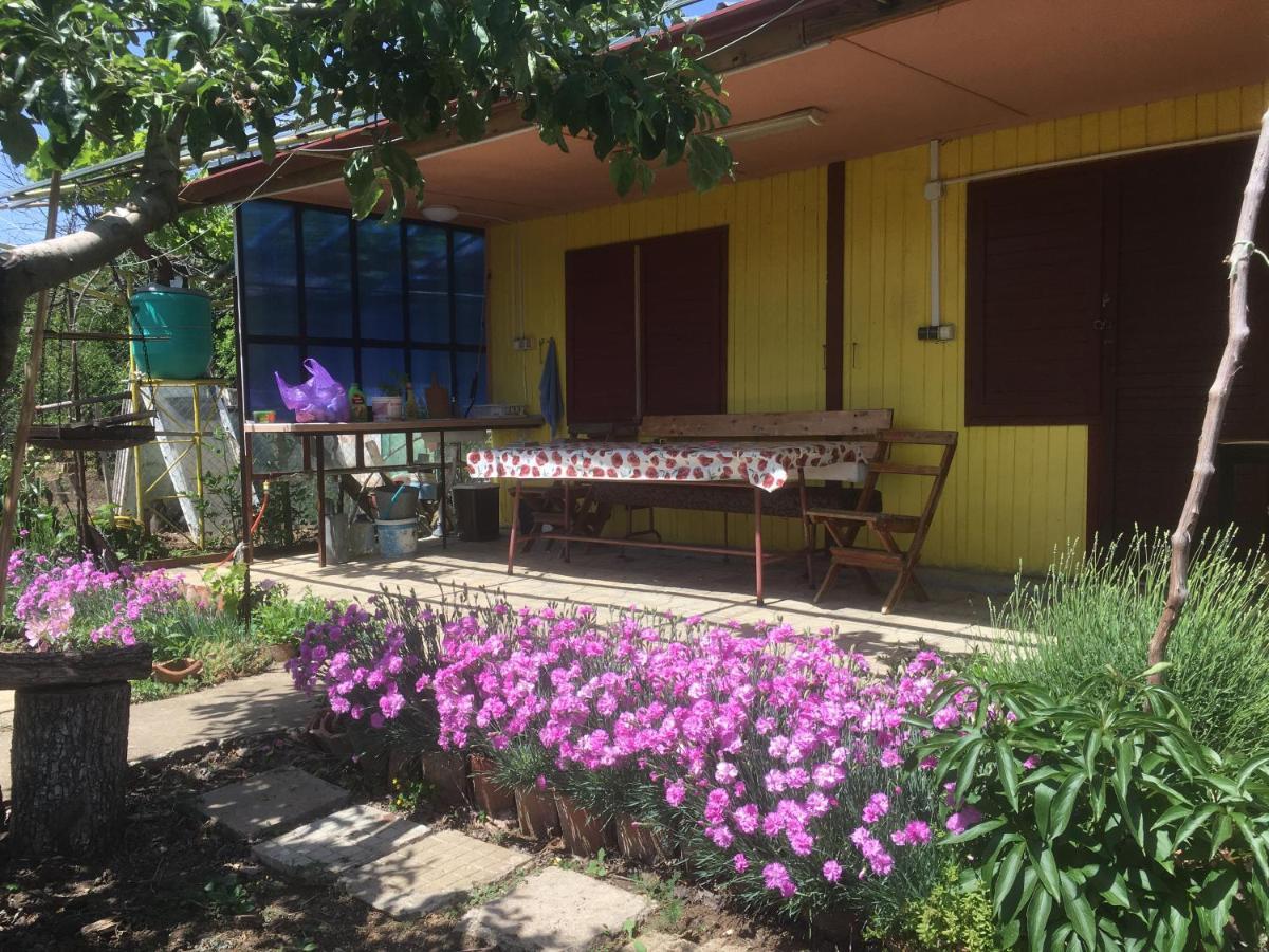 Бунгало- Bungalow Kavarna Exterior foto